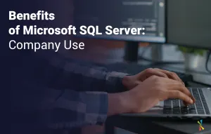 Benefits of Microsoft SQL Server: Company Use