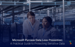 Microsoft Purview Data Loss Prevention-01